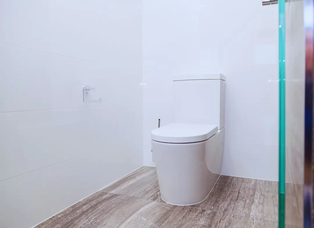 Remplacement de wc Mandelieu-la-Napoule